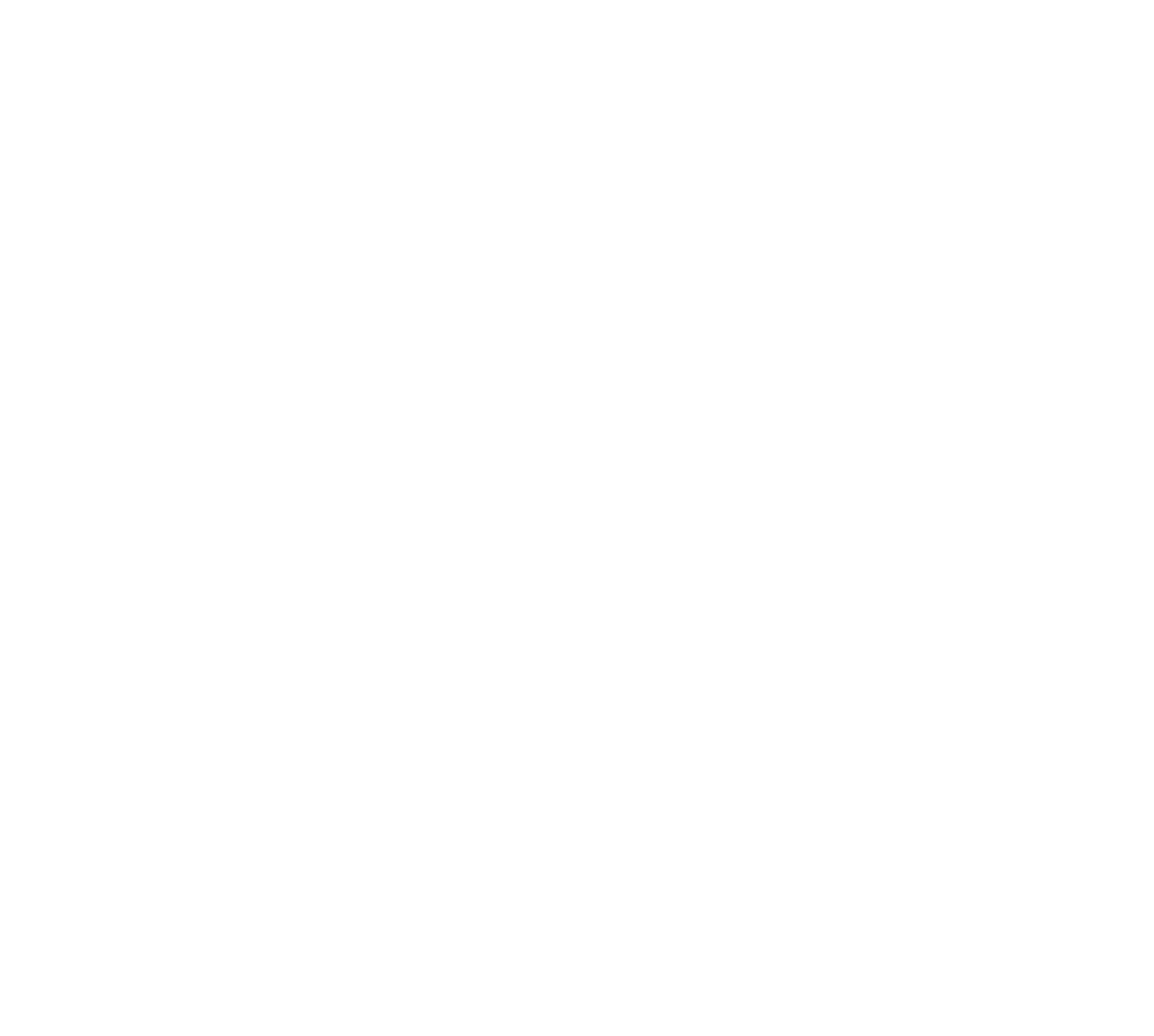 AGUA AGENCY